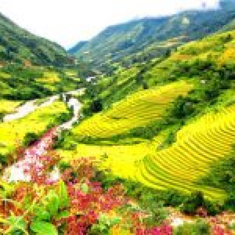 Tour du lịch Hàm Rồng – Cát Cát – Lao Chải – Tả Van – Sapa